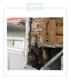 �����E��b���t�H�[��